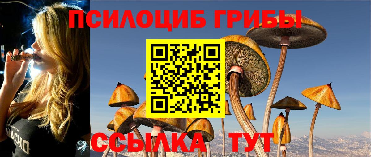 Псилоцибиновые грибы мухоморы Новый Уренгой